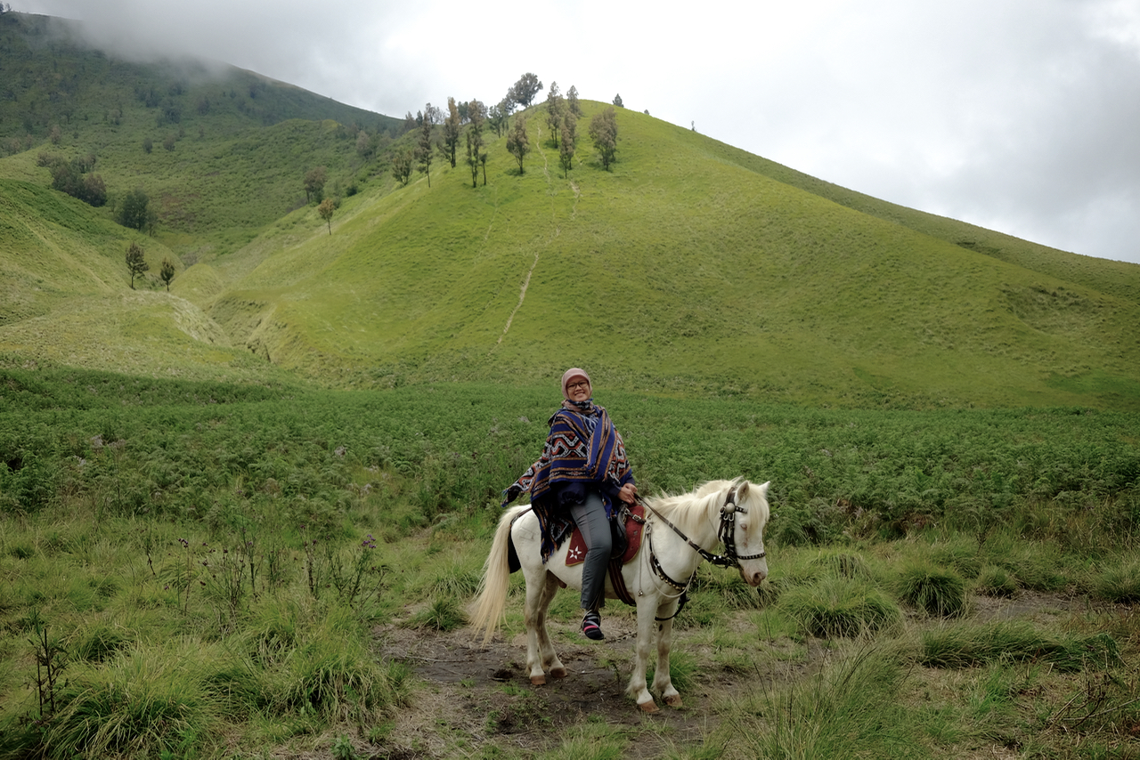 Bromo Crater