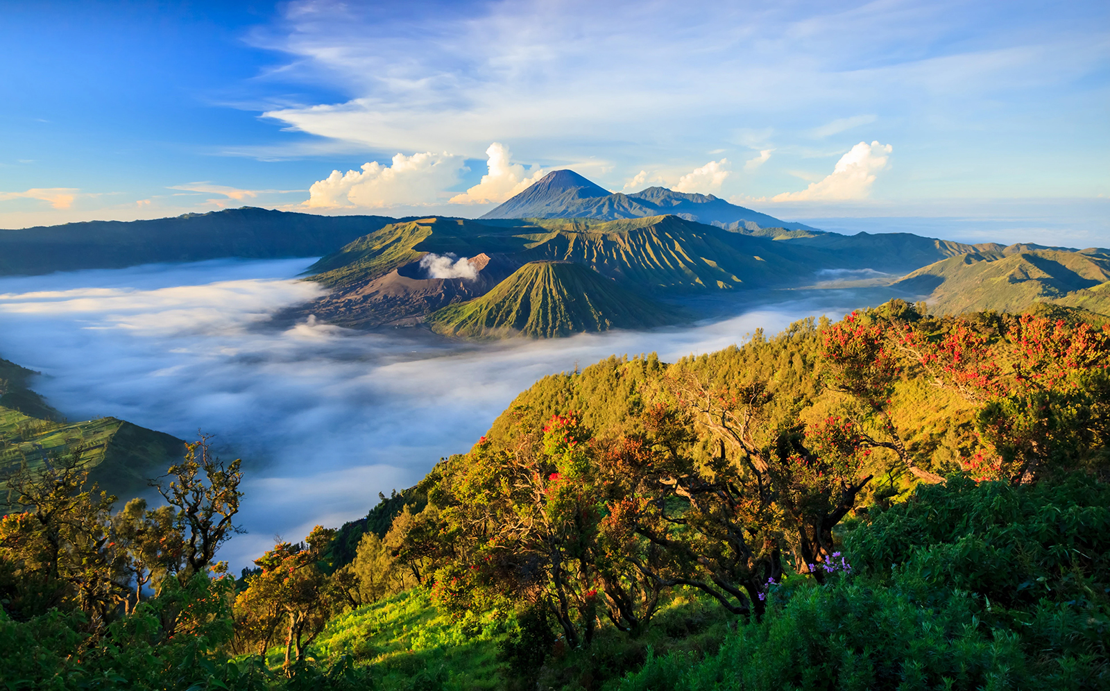 Sunrise Bromo Adventure